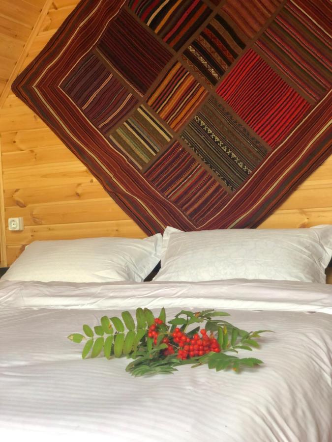 Kazbegi Kuro Cottages Екстер'єр фото